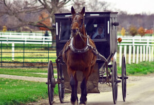 Amish Money: 10 Frugal Lessons from the Amish Community
