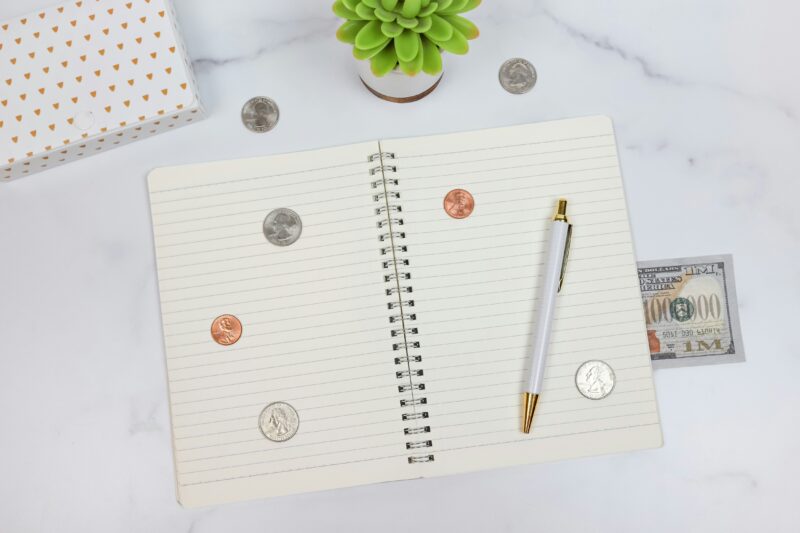 How to Safeguard Your Income and Maximise Your Earnings