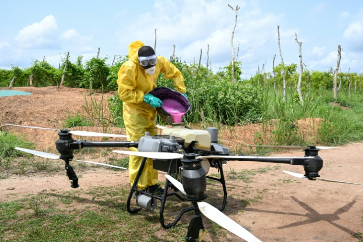 Ivory Coast Farmers Hope Tech Tempts Jaded Youth Back To Fields